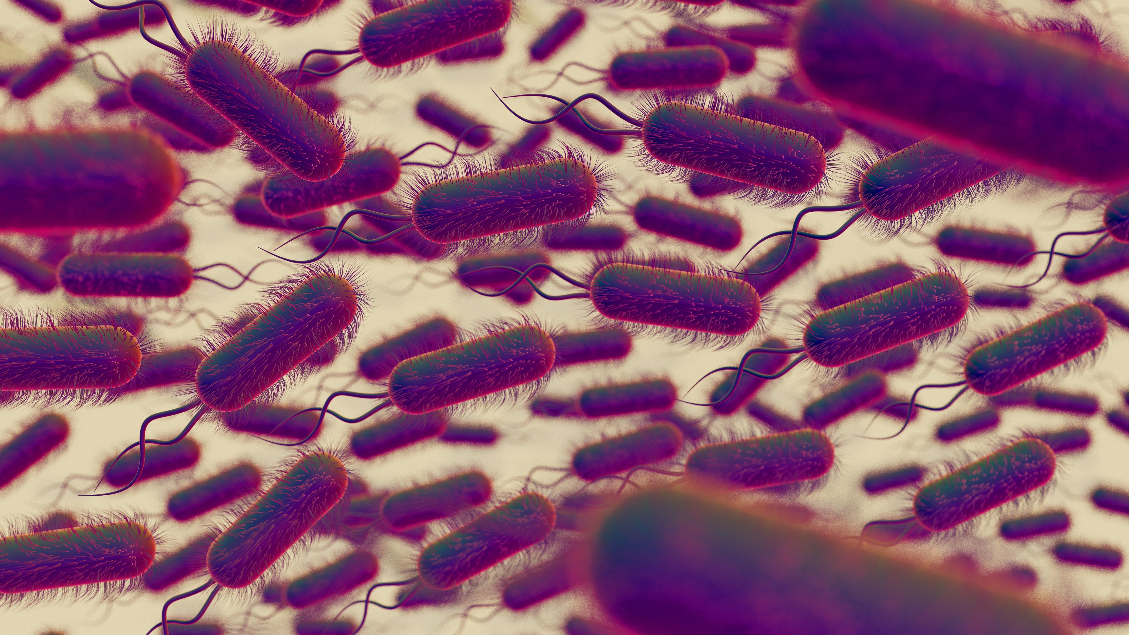 microbiome in pregnancy